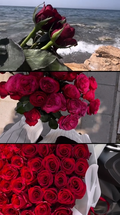 Collage de clips 