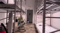 Clean at the Farm
