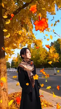 Autumn leaves