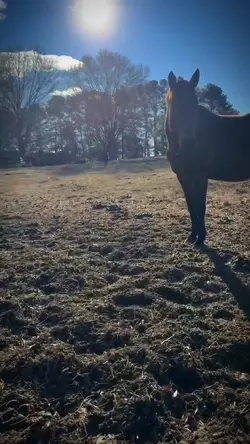 Suprise coming soonn