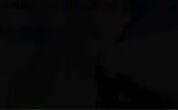 Rivals quick montage