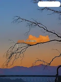 I love you mama! ❤️