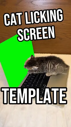 Cat Licking Screen 