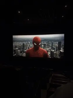 Spiderman movie imag