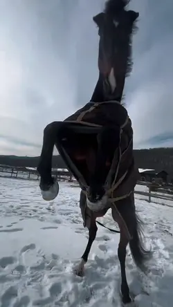 STANLEY🤫🤦‍♀️