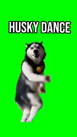 Husky Dance Trend 