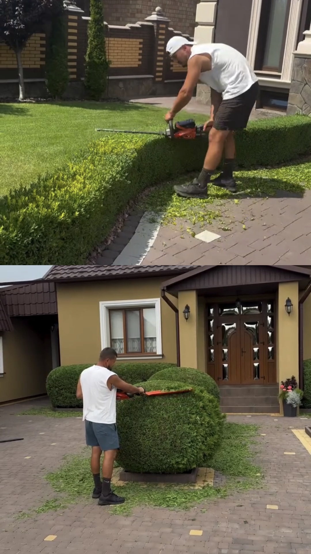 Gardening