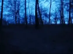 going insane btw