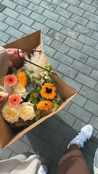 Vlog 💖