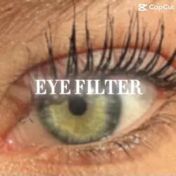 Eye filter