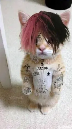 tmignfyotl lil peep
