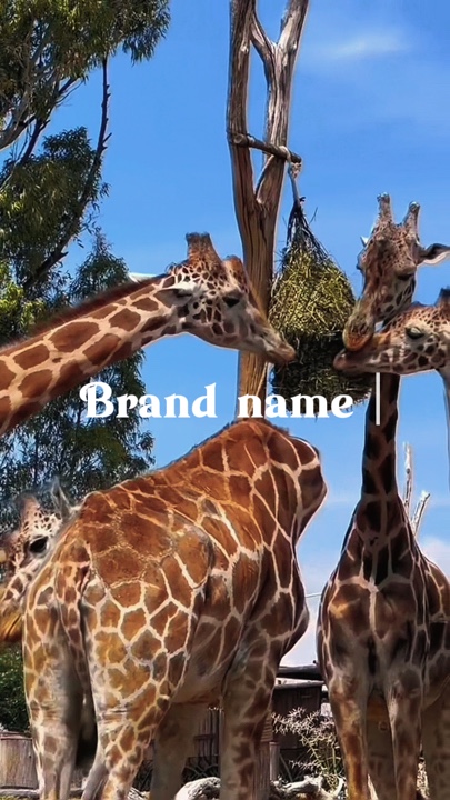 Zoo