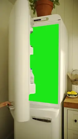 Green Screen Fridge