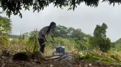 Simple Province Life