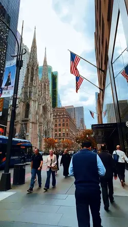 City life 