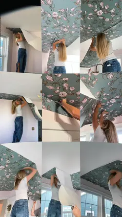 today vlog