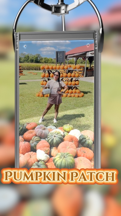 Pumpkin Patch 