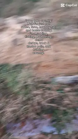 fake country