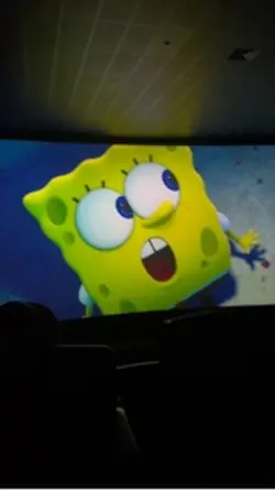 Sponge bob