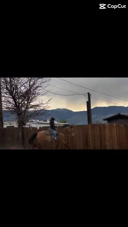 HORSEYYY IS HOTTT 🔥🔥