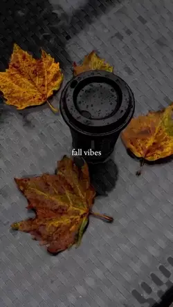 Fall vibes 