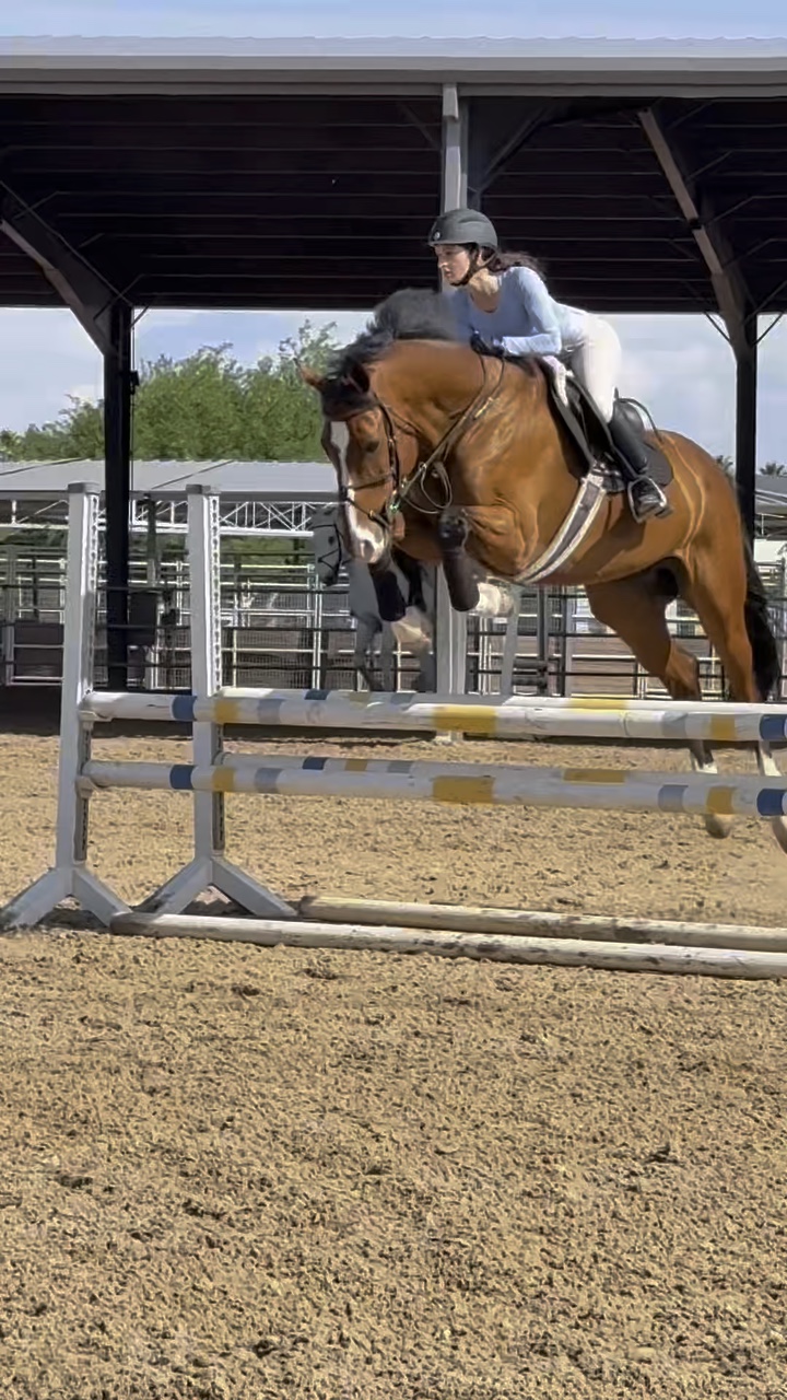 Caballo en cámara lenta🤩🩵