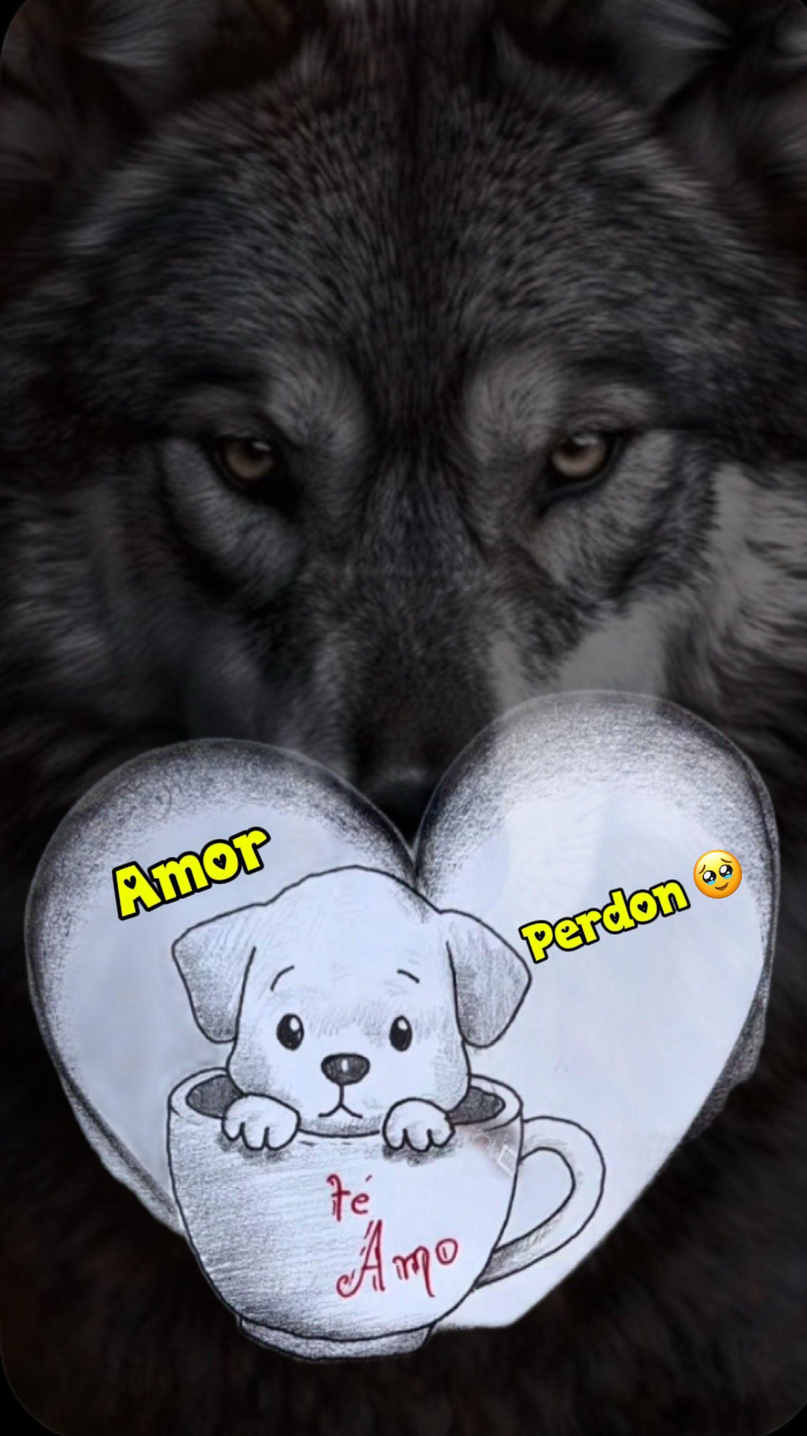 Reflexión 