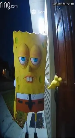 Looking for a code ?