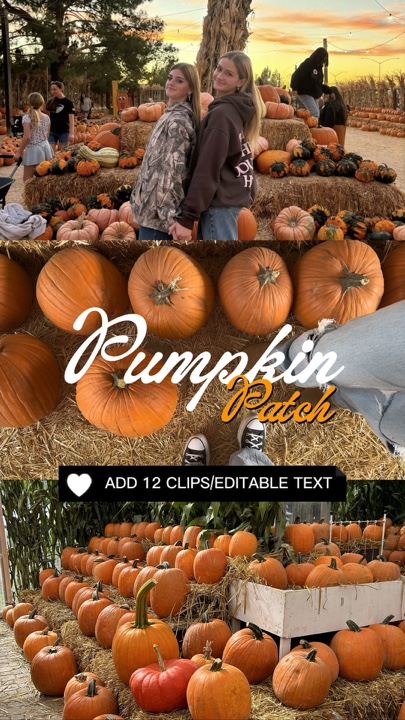 Pumpkin Patch🎃