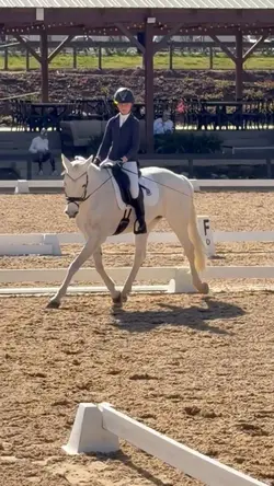 Equestrian slomo 💗