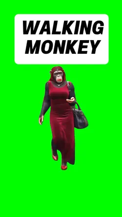 WALKING MONKEY
