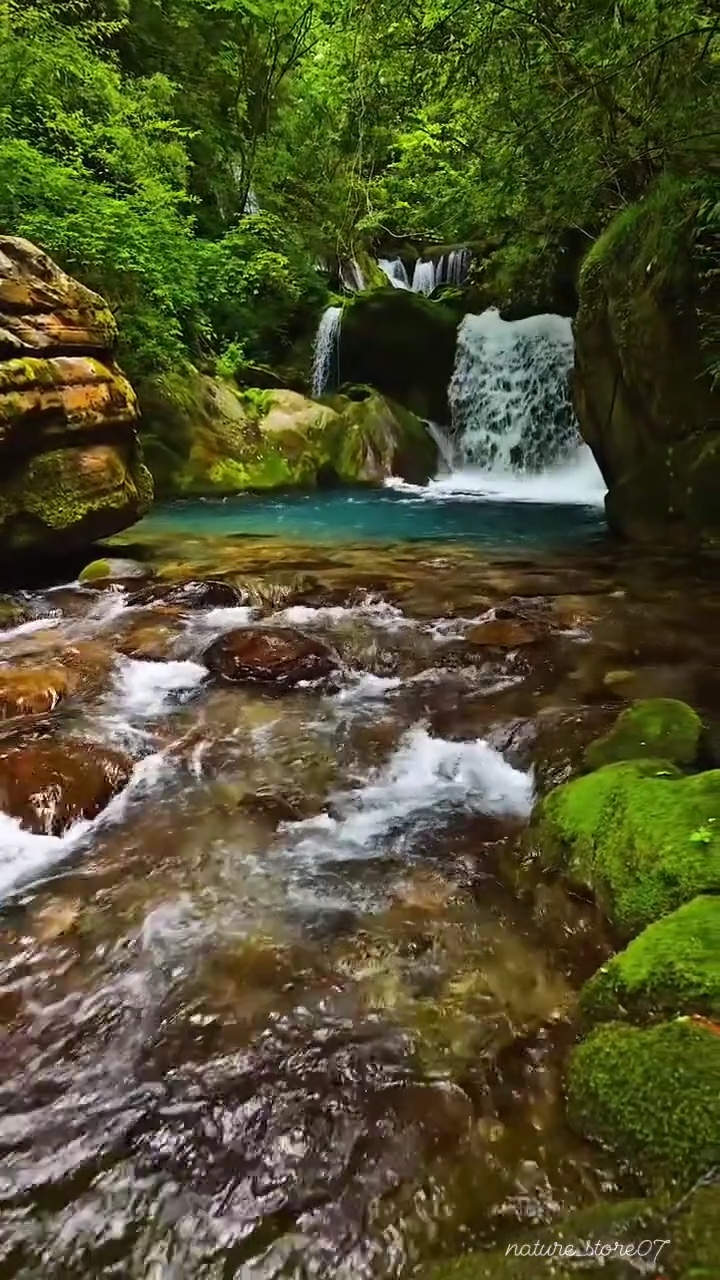 Yeni şablon 