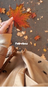 Autumn 🍂 