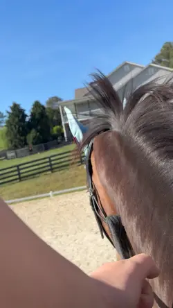 Riding video