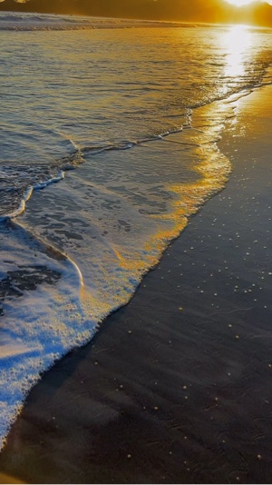 Pic/Vid Nature Trend