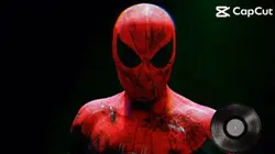 SPIDER MANN