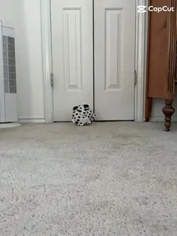 lol