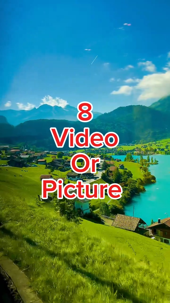 #New #template #song