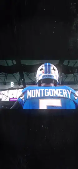 DavidMontgomery edit