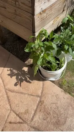 Easy Garden Update
