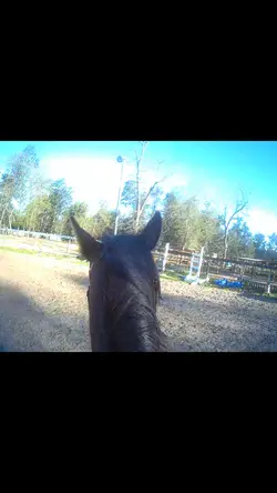 His little buck 😅