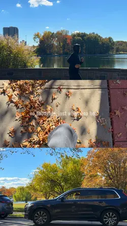 Twilight Hoa Hoa Hoa