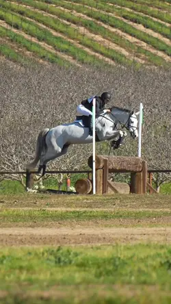 shes insaneee ‼️FAKE‼️