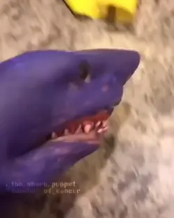 thanos shark puppet