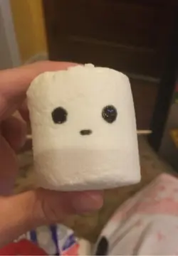 SM B-DAY IS COMEING!