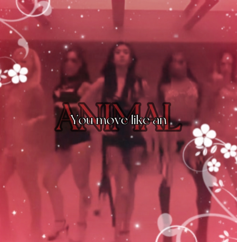 animal edit!!