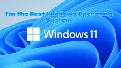 Best Windows?