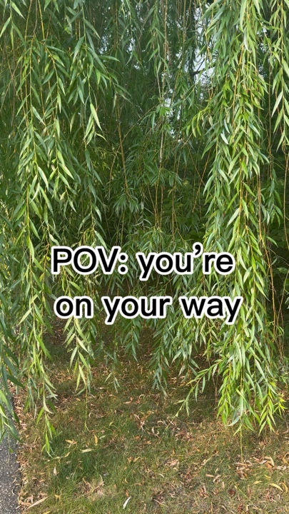 You’re on your way