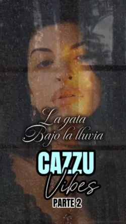 La gata bajo la 🌧️