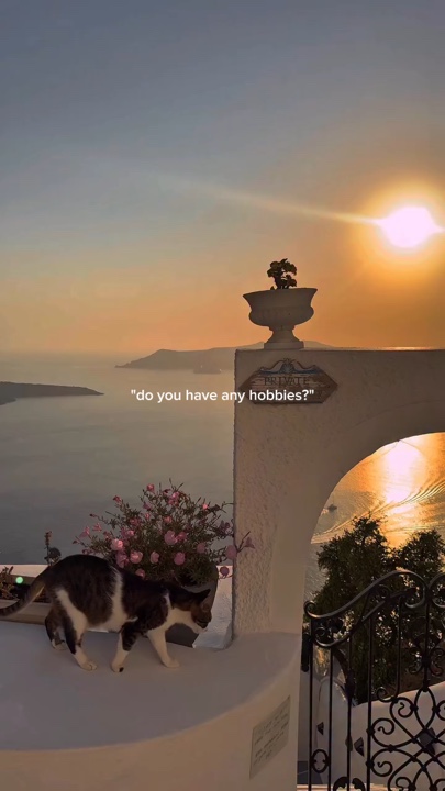 Hobbies 